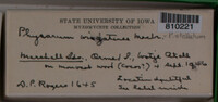 Image Associated With the Occurrence
